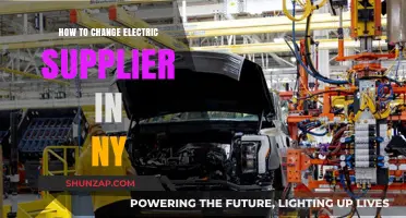 Switching Electric Suppliers in New York: A Guide