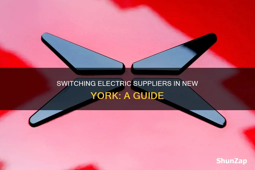 how to change electric supplier in ny