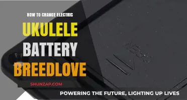 Replacing Electric Ukulele Batteries: Breedlove Edition