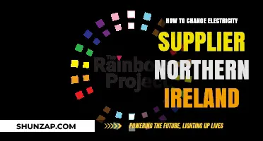Switching Electricity Suppliers in Northern Ireland: A Simple Guide
