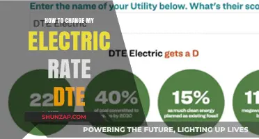 Electric Rate Change: DTE Options and Steps