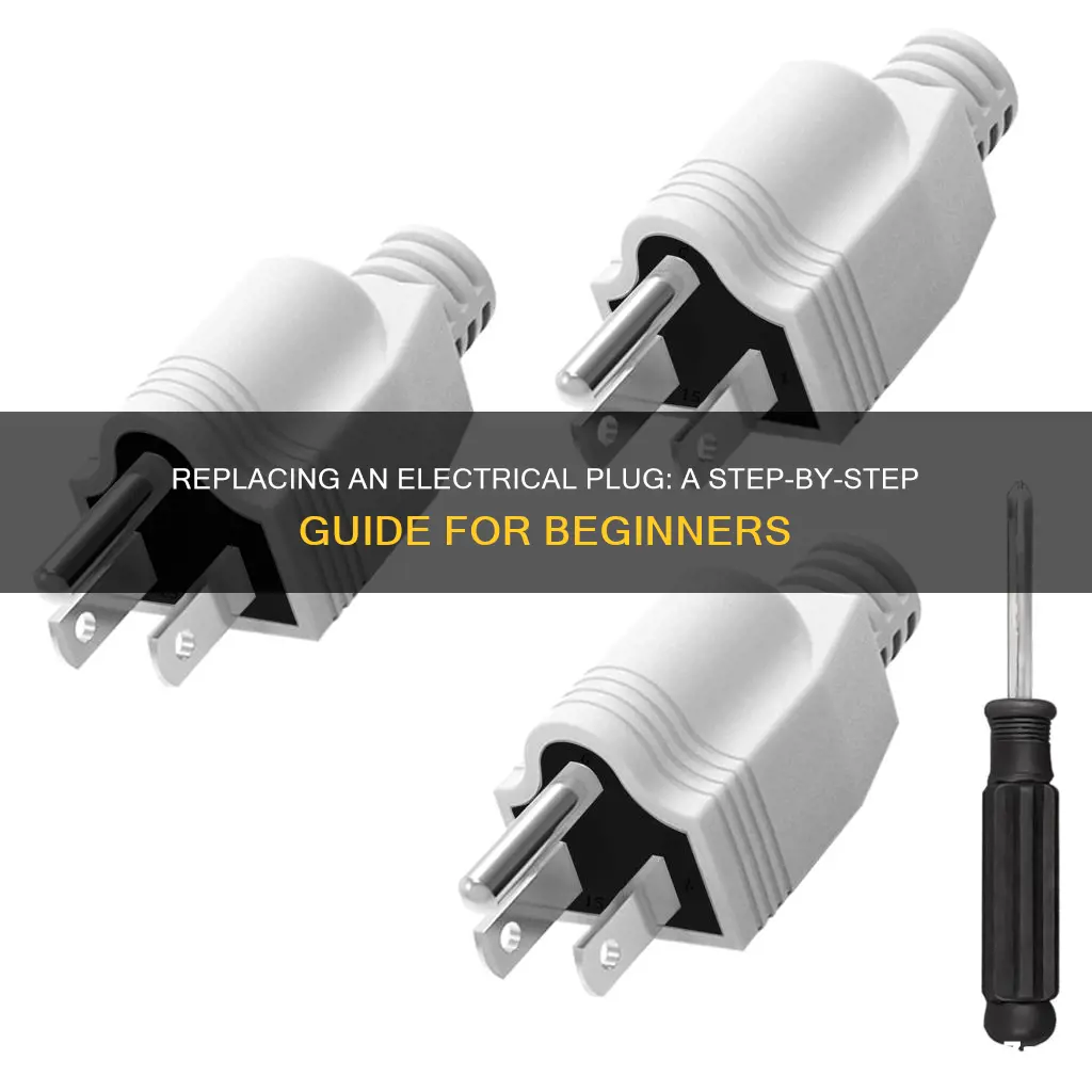 how to change out an electrical plug