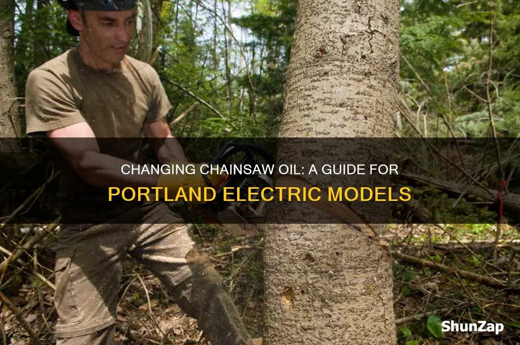 how to change portland electric chainsaw oil