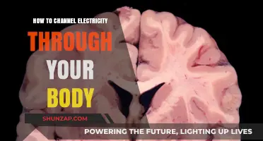 Channeling Electricity: The Human Body's Potential