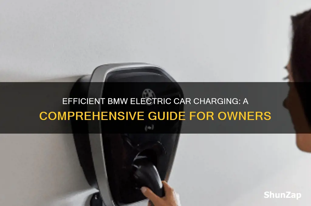 how to charge a bmw electric car