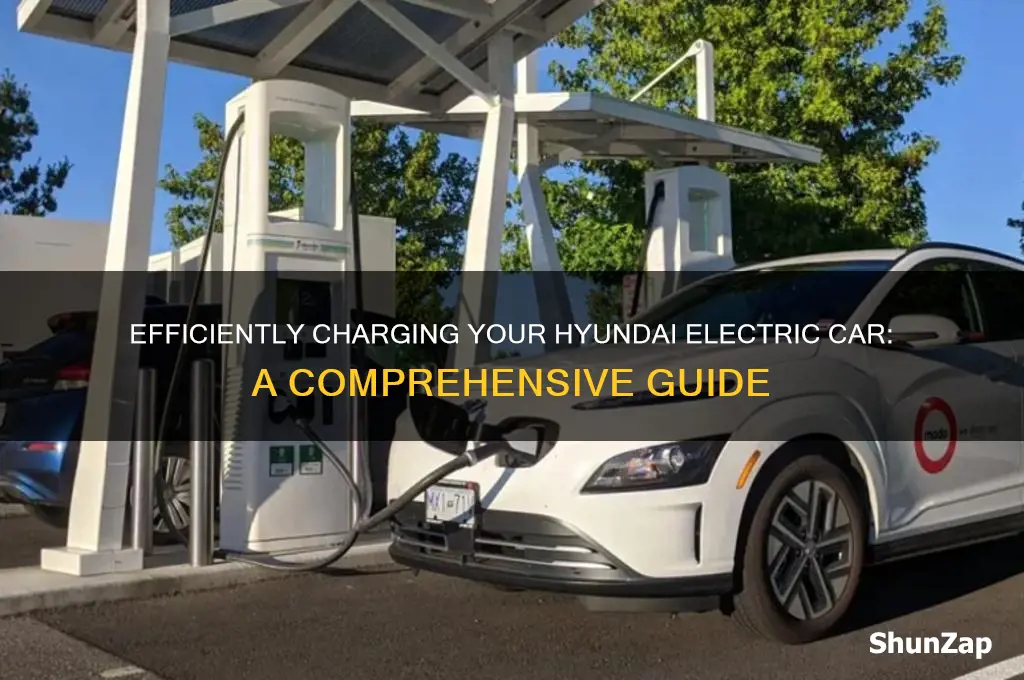 how to charge a hyundai electric car