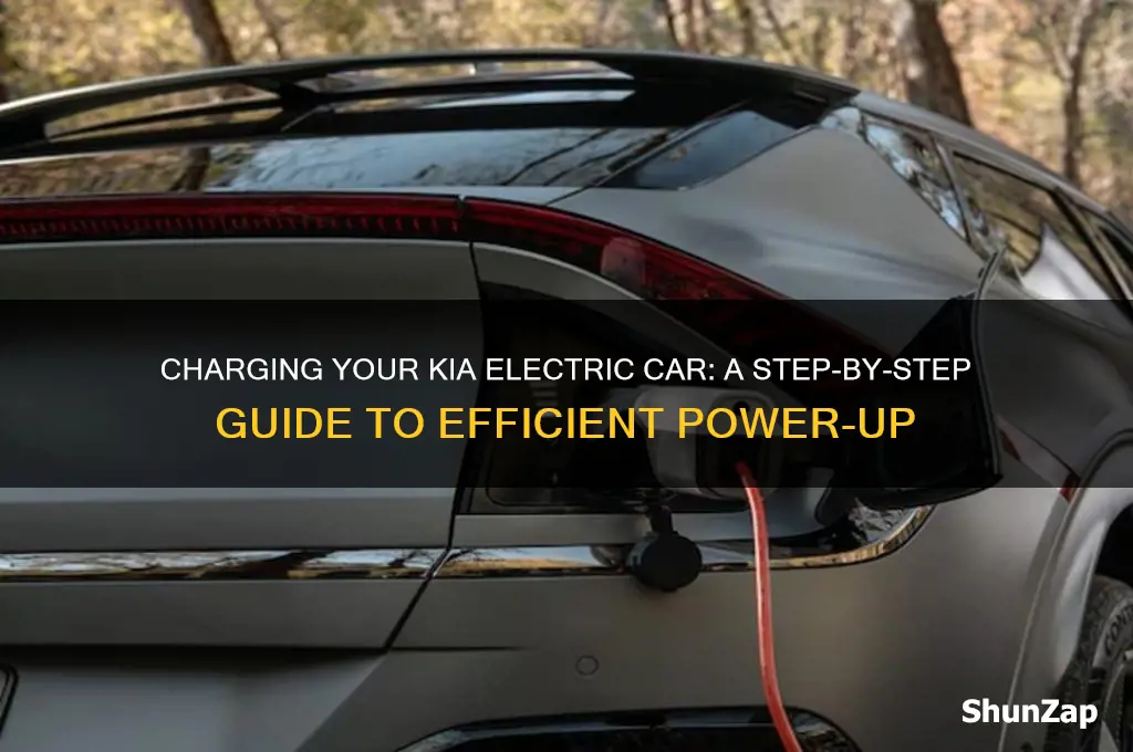 how to charge a kia electric car