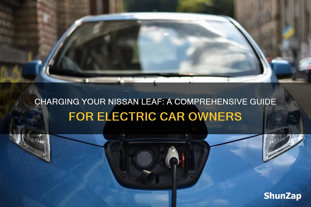 how to charge a nissan leaf electric car
