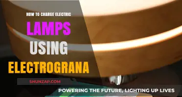 Eco-Friendly Illumination: Charging Electric Lamps with Electrograna