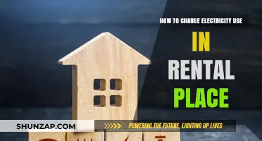 Navigating Electric Bills in Your Rental: A Tenant's Guide