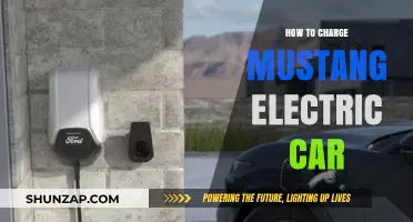 Charging Your Mustang Electric Car: A Complete Step-by-Step Guide