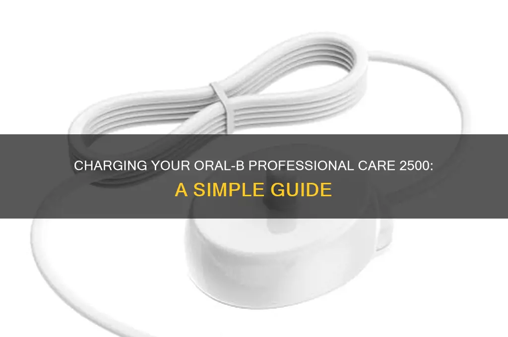 how to charge oral-b professional care 2500 electric toothbrush