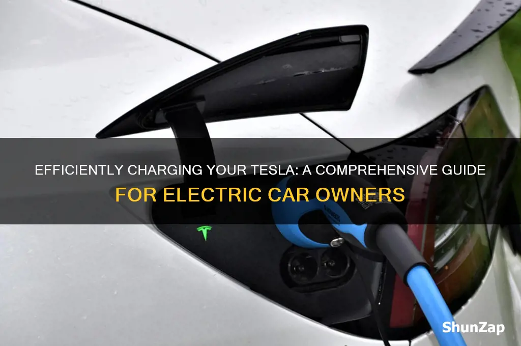 how to charge tesla electric car