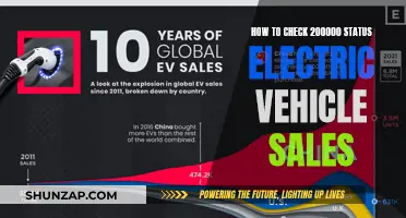 Tracking the Sales of 200,000 Electric Vehicles: Strategies and Insights