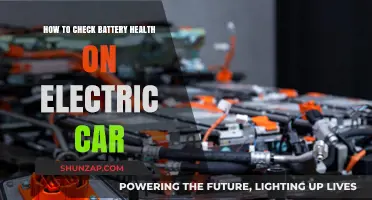 Monitor Your Electric Car's Battery Health: A Step-by-Step Guide