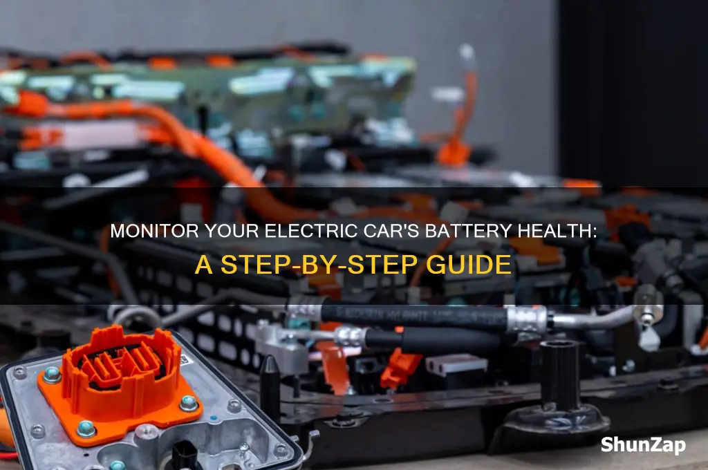 how to check battery health on electric car