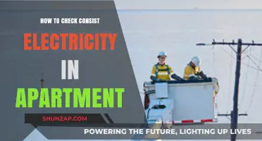 Ensuring Consistent Electricity in Your Apartment