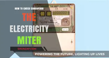 Monitoring Electricity Usage: Using a Meter