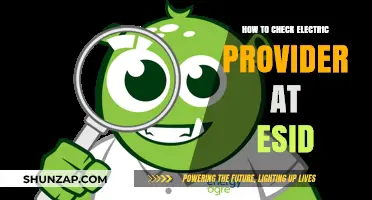 Checking Your Electric Provider: Understanding Your ESID
