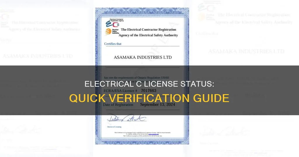 how to check electrical c license status