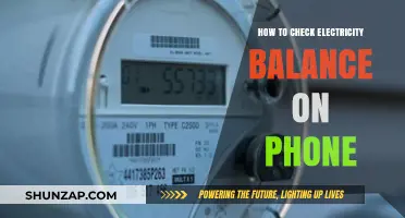 Checking Your Electricity Balance: A Quick Phone Call Away