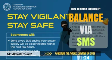 Checking Electricity Balance: SMS Hack