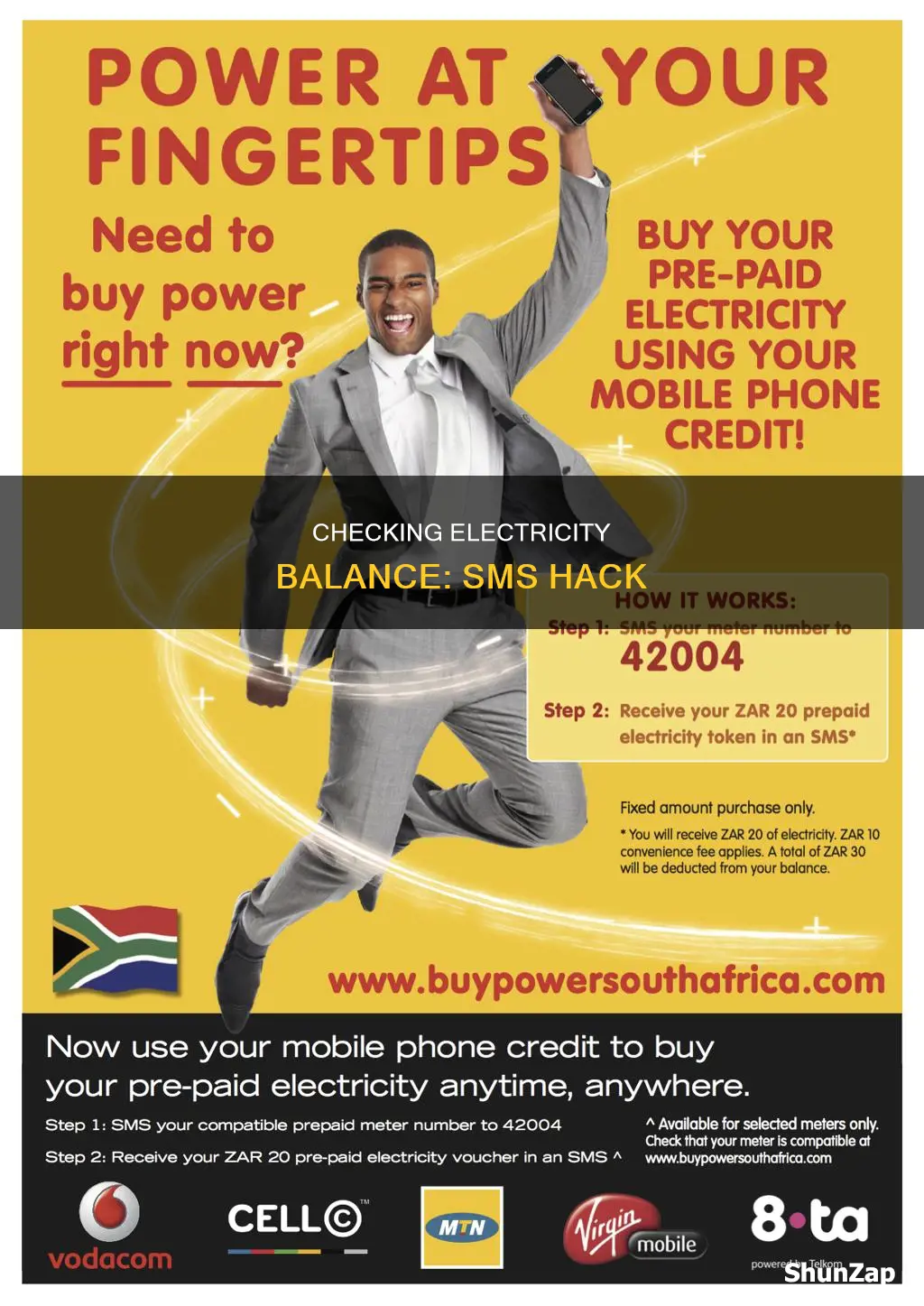 how to check electricity balance via sms