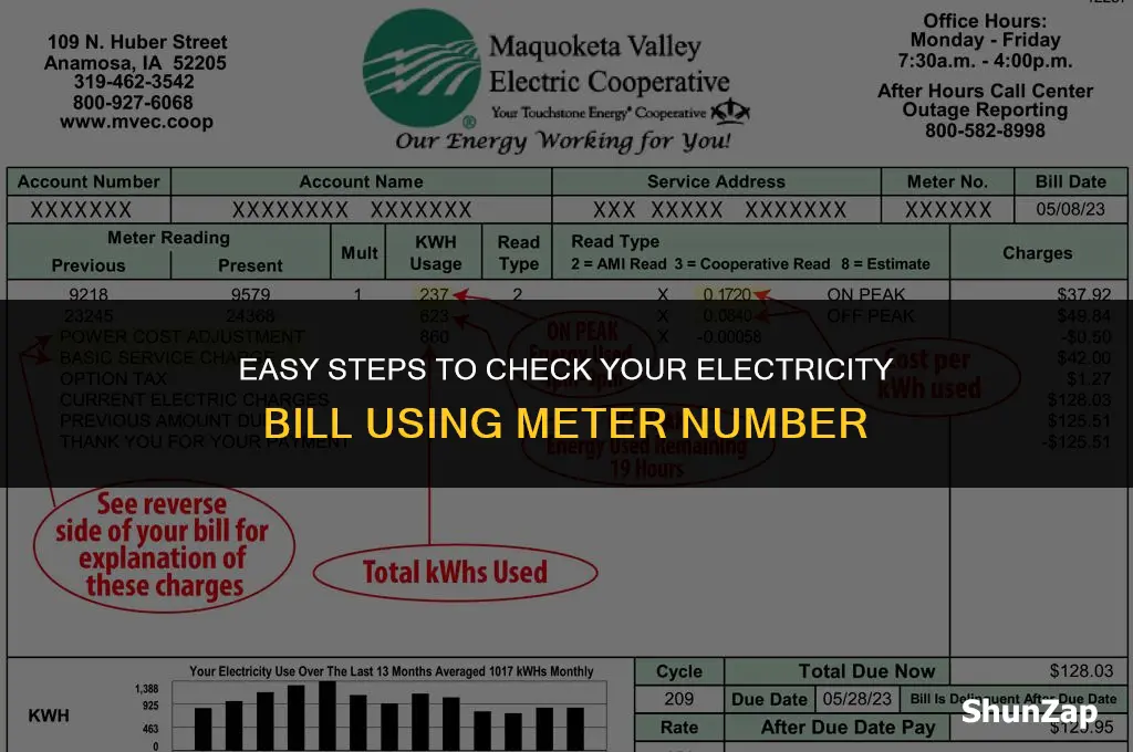 how to check electricity bill using meter number