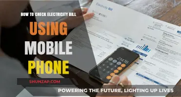 Effortlessly Check Your Electricity Bill on Your Mobile Phone