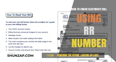 Effortlessly Check Your Electricity Bill Using Your RR Number