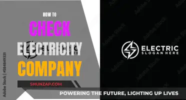 Choosing an Electricity Company: What to Consider