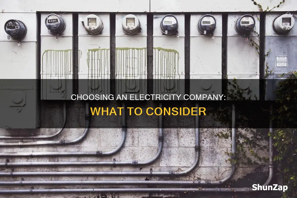 how to check electricity company