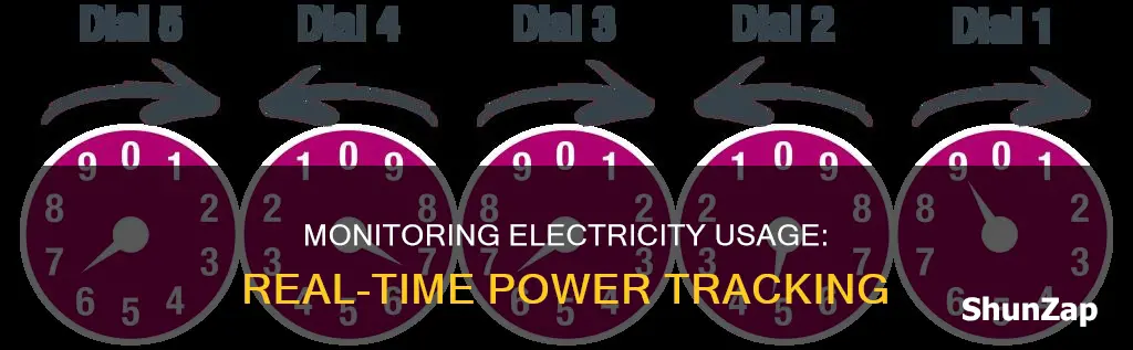 how to check electricity usage real time