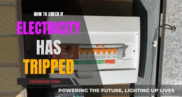 Troubleshooting Power Outages: Check Your Electrical Trip Switch