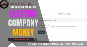 Checking for Outstanding Electricity Bills