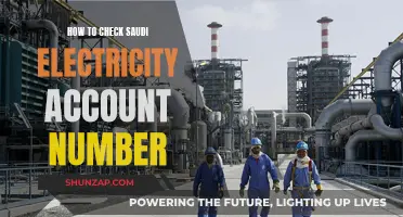 Easy Ways to Check Your Saudi Electricity Account