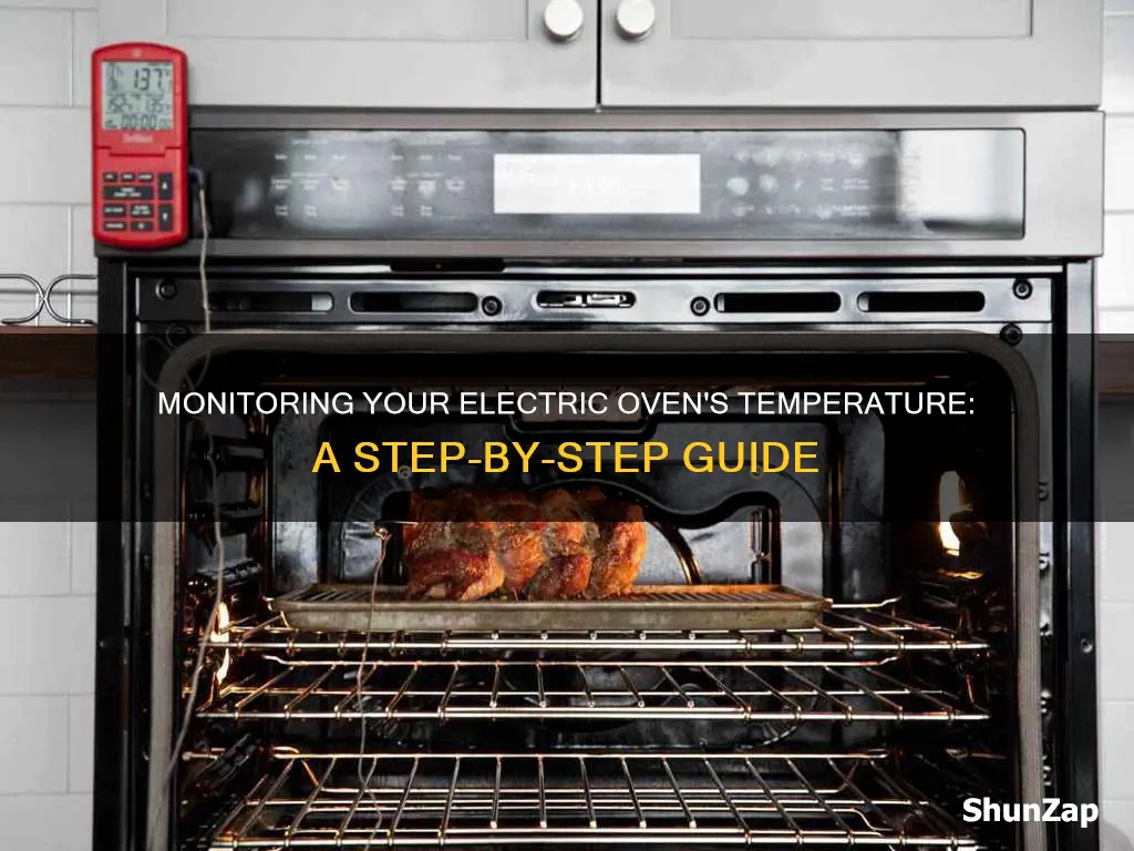how to check temperature of electric oven
