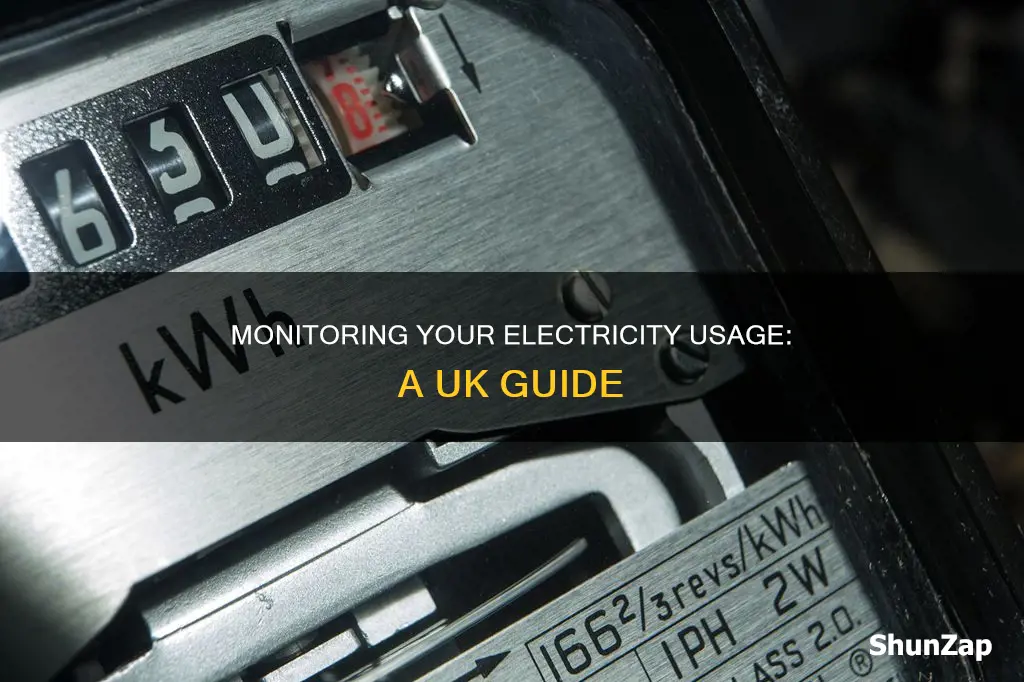 how to check your electricity usage uk
