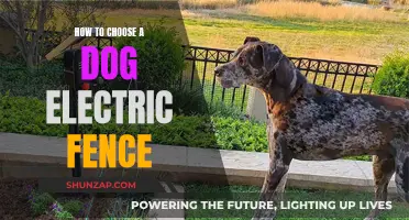 Electric Dog Fences: Choosing the Right Fence for Your Pup