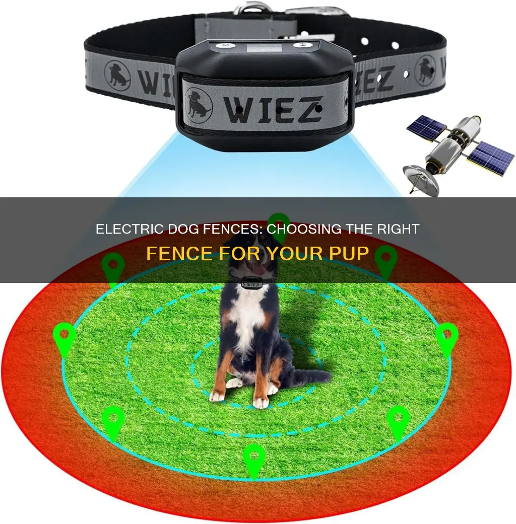 how to choose a dog electric fence