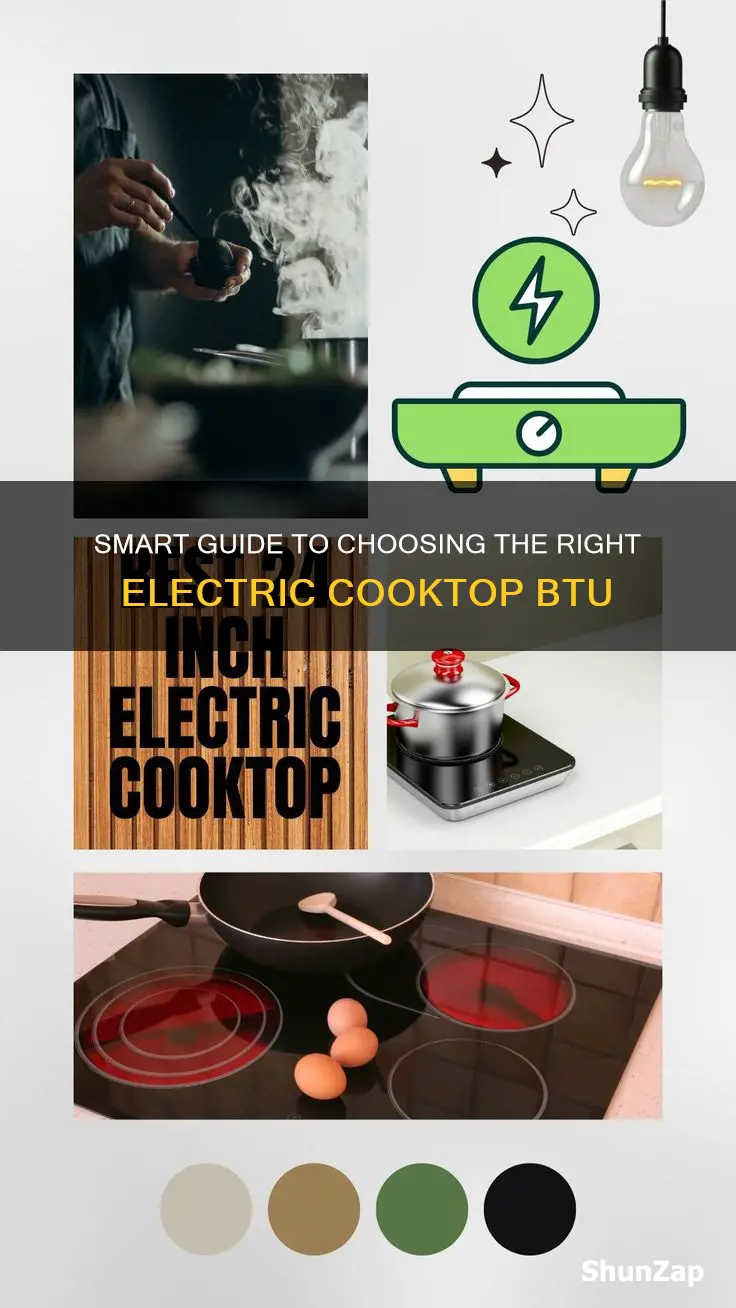 how to choose an electric coocktop btu