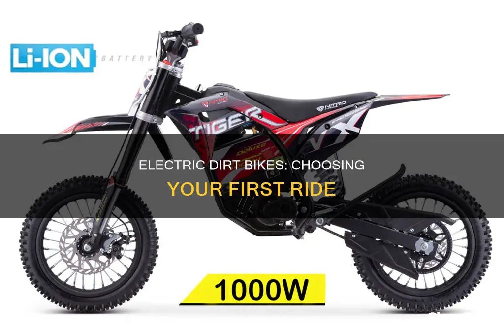 how to choose an electric dirt bike
