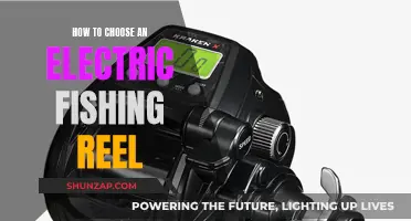 Electric Fishing Reels: Choosing the Best for You