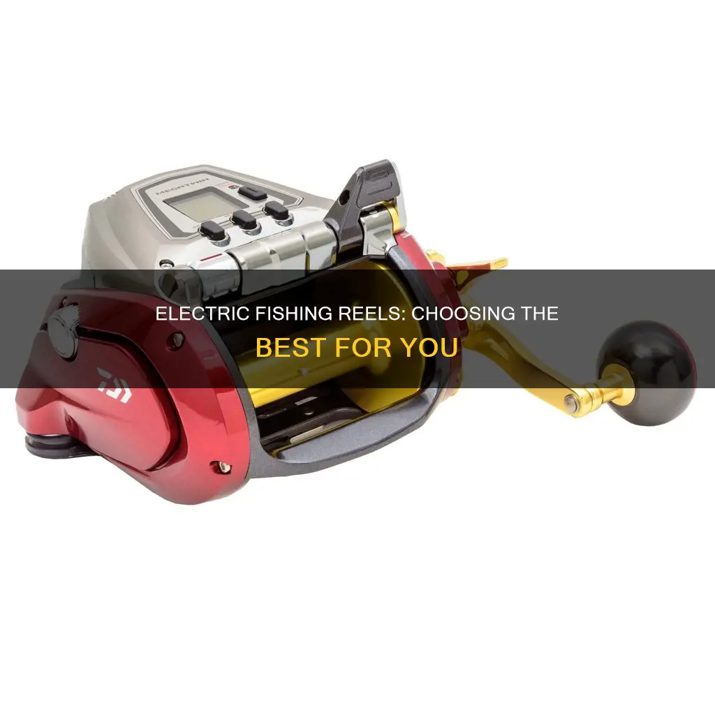 how to choose an electric fishing reel