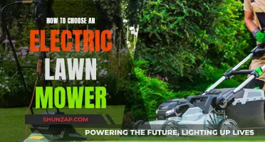 Electric Lawn Mower: Choosing the Right One for You