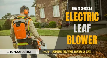 Best Electric Leaf Blowers: A Buyer's Guide