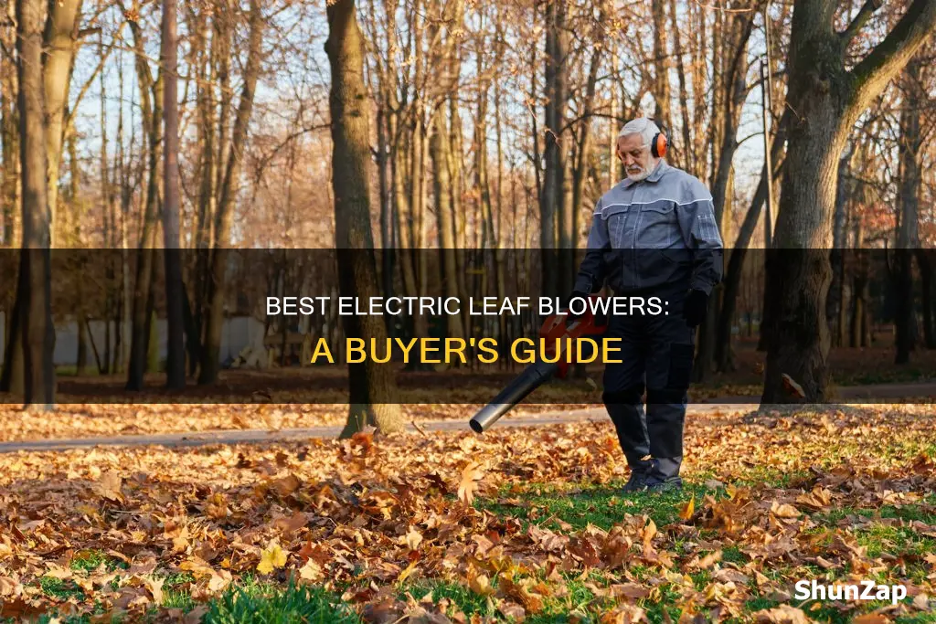 how to choose an electric leaf blower