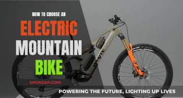 Choosing the Right Electric Mountain Bike: A Guide