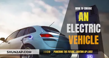 Navigating the Electric Revolution: A Guide to Choosing Your Dream EV