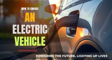 Choosing Your First Electric Vehicle: A Comprehensive Guide